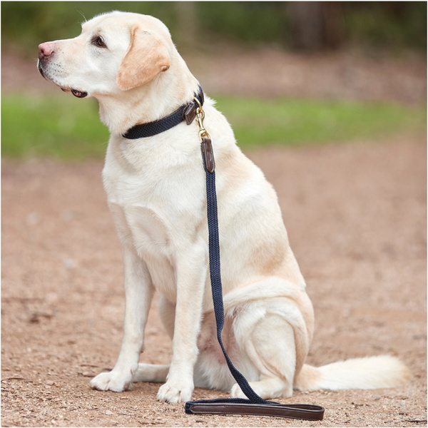 Weatherbeeta Leather Plaited Dog Collar - Brown / Navy